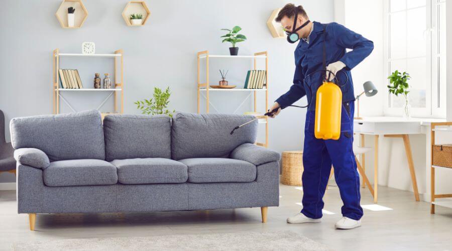 Professional pest control services services in Pennsylvania